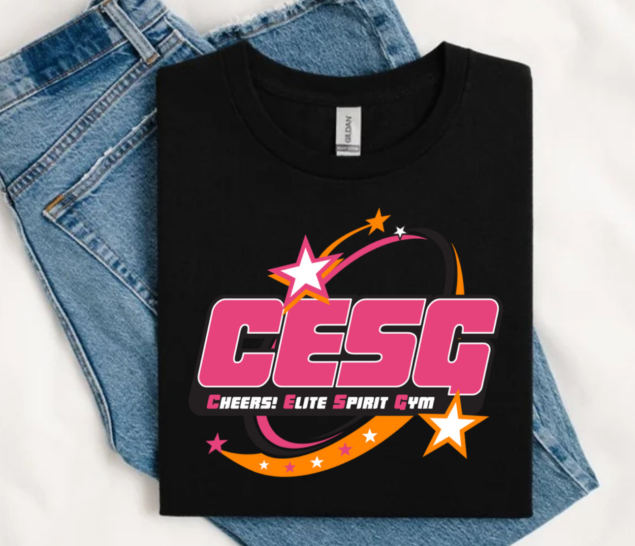 CESG LOGO